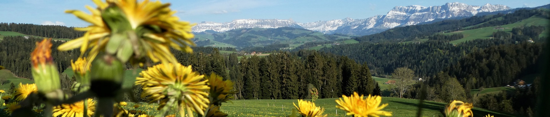 Impressionen Gemeinde Röthenbach i. E.