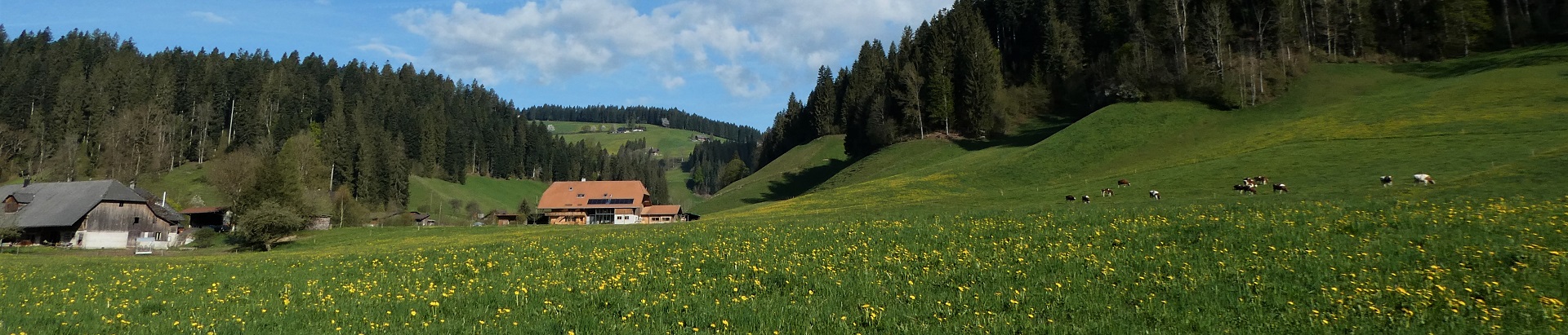 Impressionen Gemeinde Röthenbach i. E.