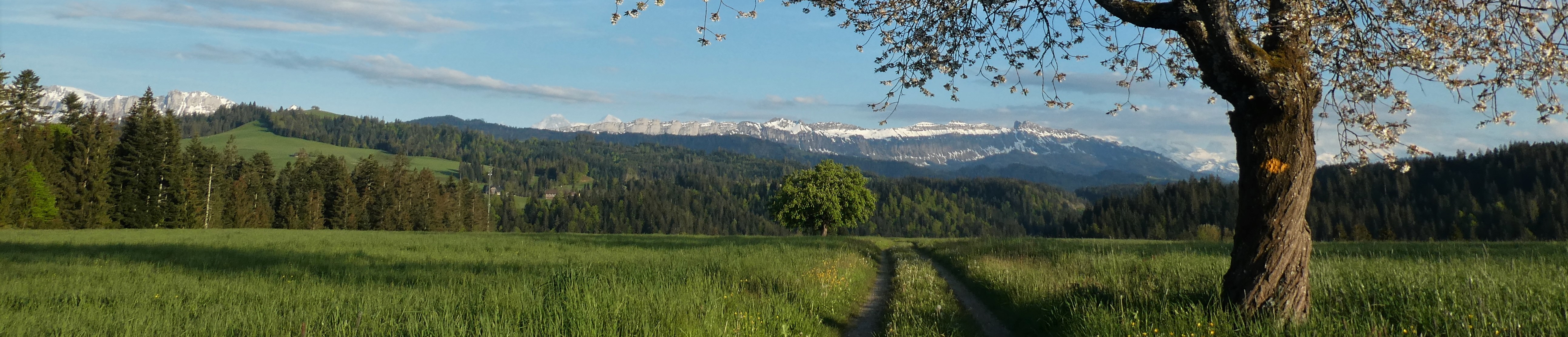 Impressionen Gemeinde Röthenbach i. E.