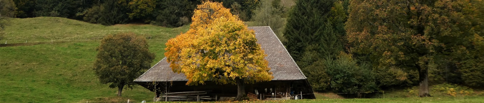 Impressionen Gemeinde Röthenbach i. E.