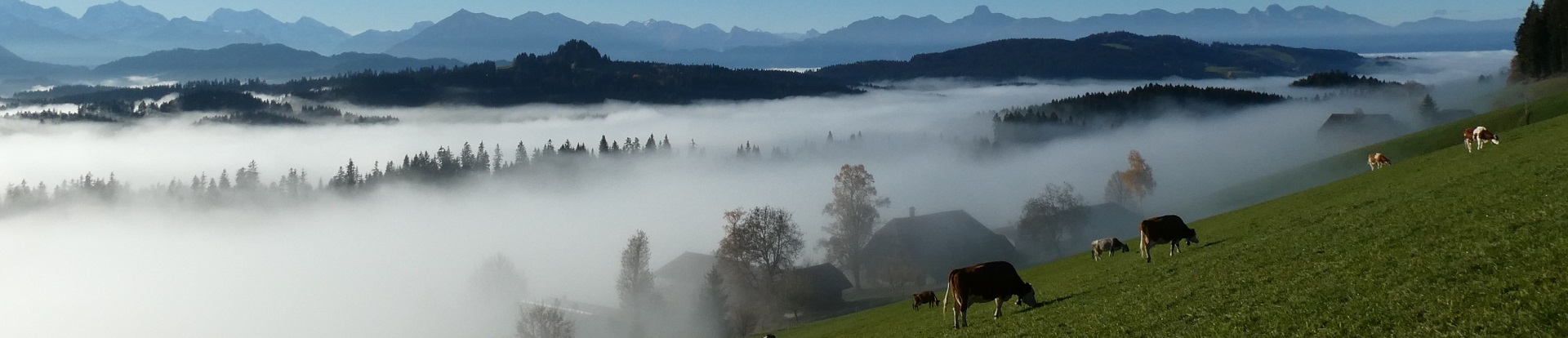 Impressionen Gemeinde Röthenbach i. E.