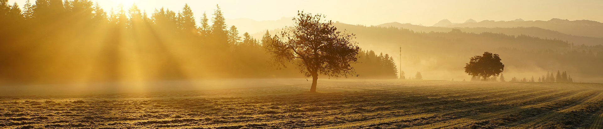 Impressionen Gemeinde Röthenbach i. E.