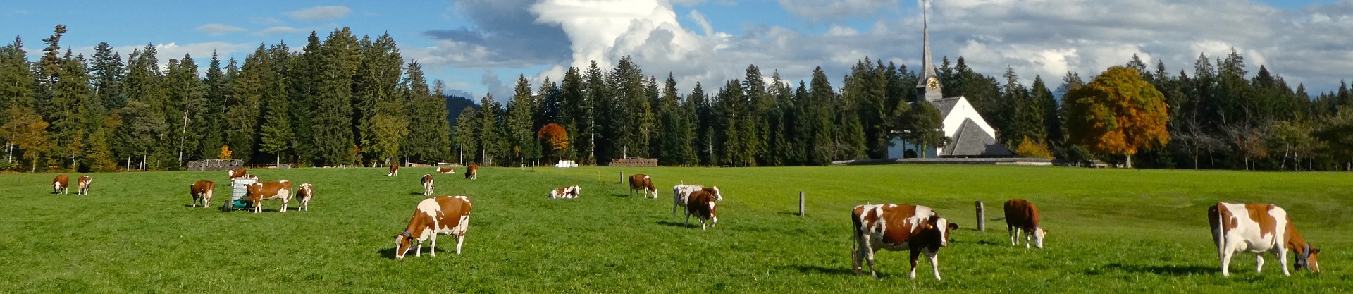 Impressionen Gemeinde Röthenbach i. E.