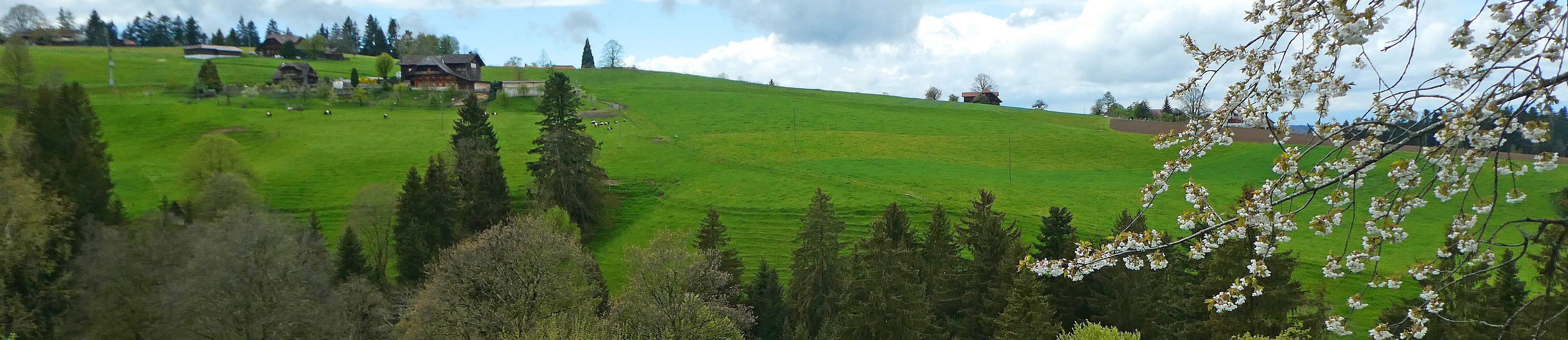 Impressionen Gemeinde Röthenbach i. E.