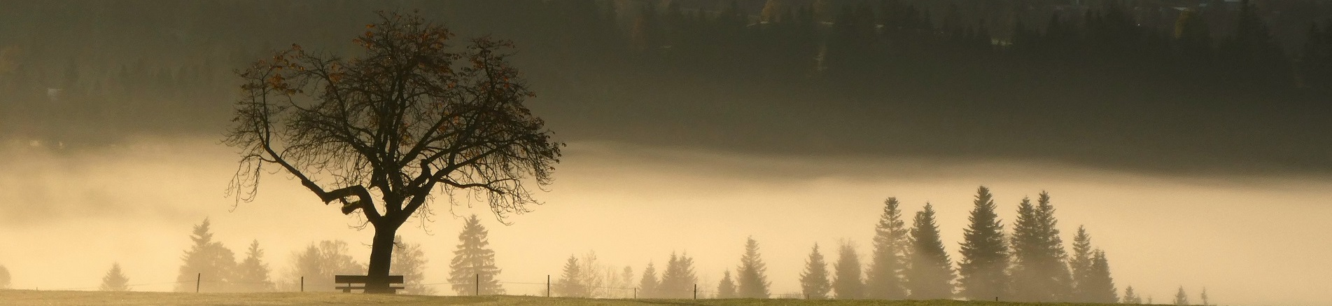Impressionen Gemeinde Röthenbach i. E.