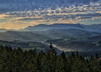 Aussichtsturm Gauchernwald (Chuderhüsiturm)